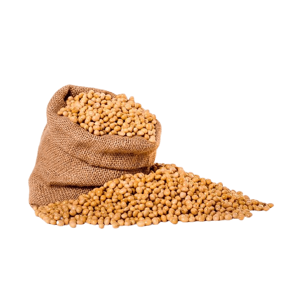Soyabean