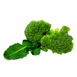 Organic Broccoli
