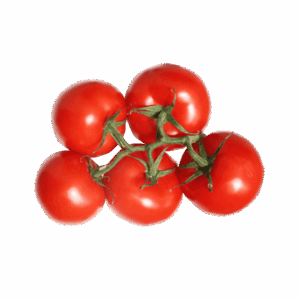 Organic Tomatoes
